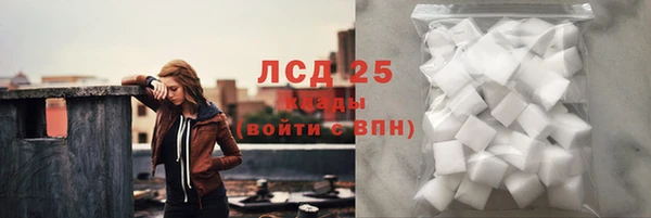 прущие грибы Абдулино