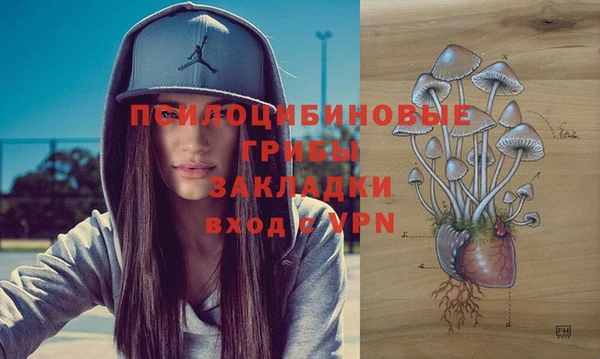 марки lsd Абаза