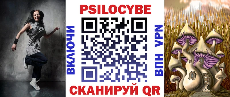 гидра ссылка  Тимашёвск  Галлюциногенные грибы Psilocybe 